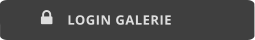 LOGIN GALERIE 